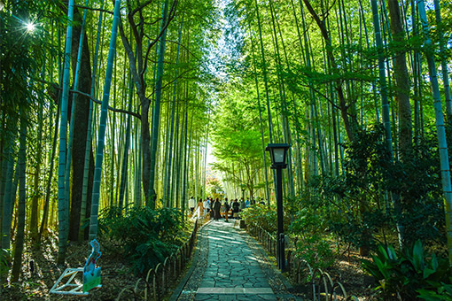 嵐山温泉|口コミで人気のホテル・旅館!