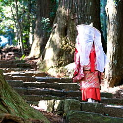 白浜・龍神｜口コミで人気のホテル・旅館！